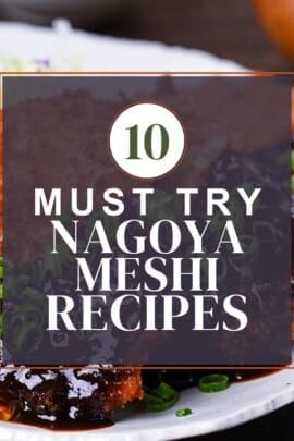 Nagoya meshi roundup thumbnail with miso katsu in the background